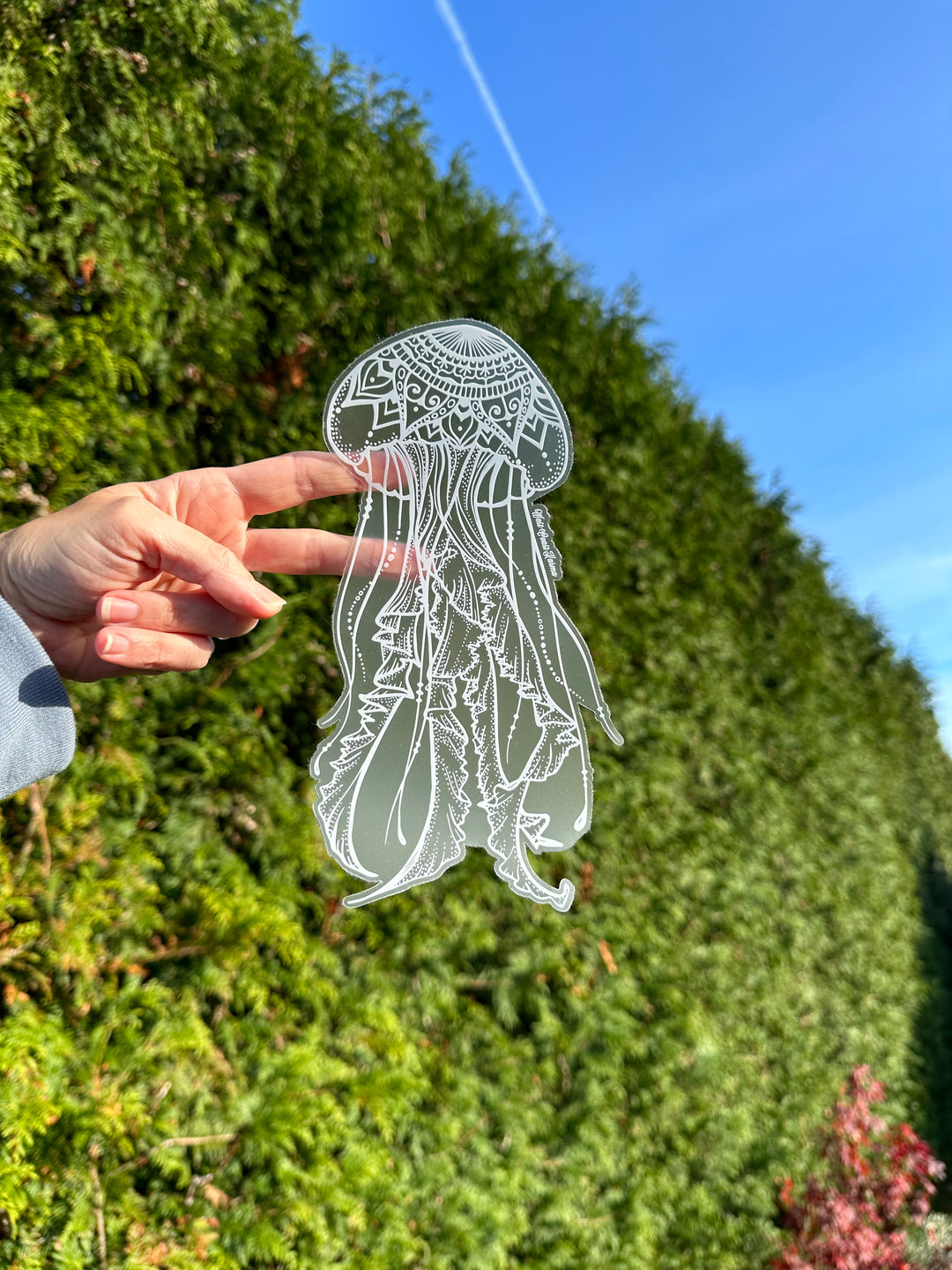 Jellyfish Car Decal