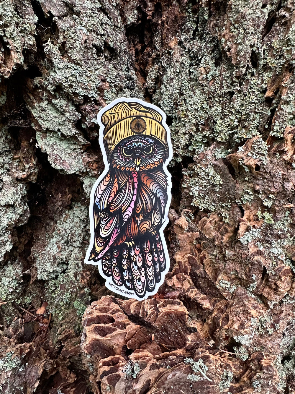 Cozy little Owl Sticker