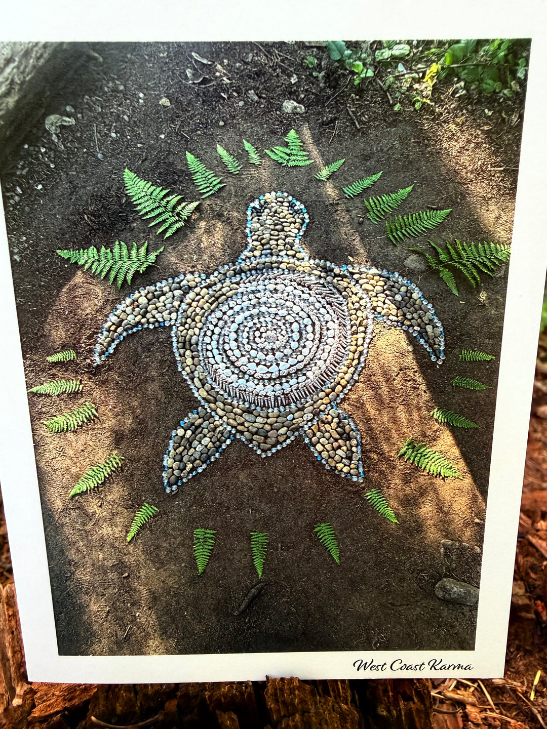 Turtle Art Note Card