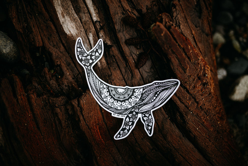 Humpback Whale Sticker