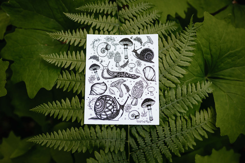 Slug & Snail Forest Floor