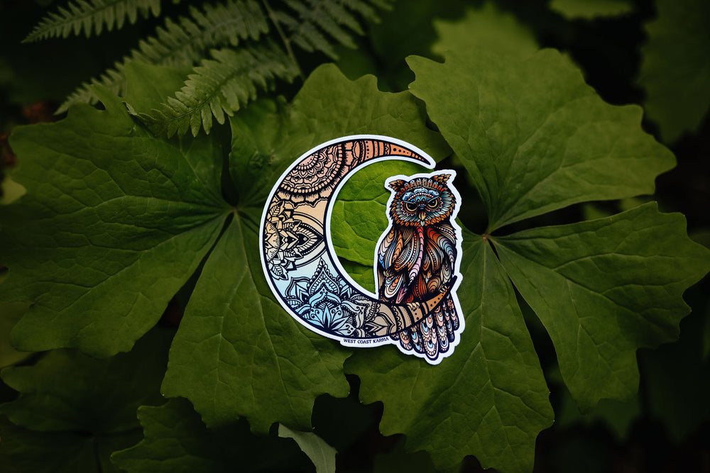 Colourful Owl & Moon Vinyl Sticker