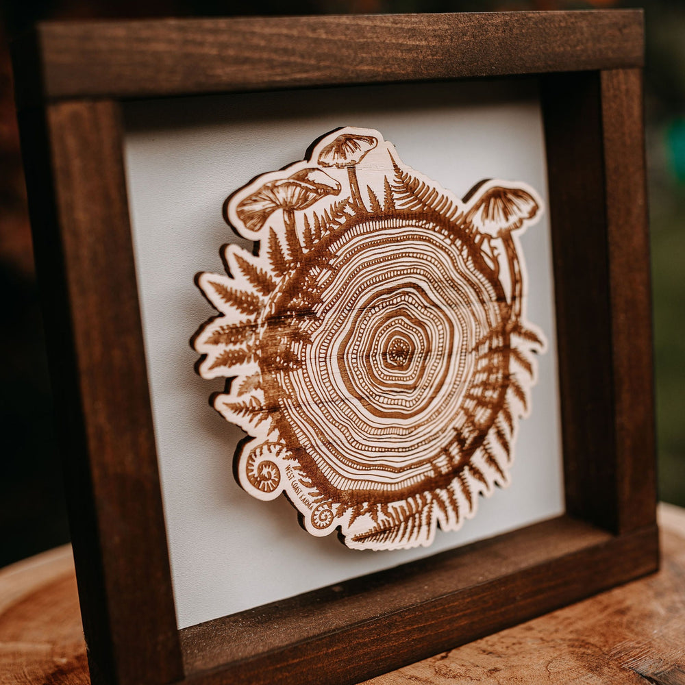 Shadow Box Framed Mushroom Tree Ring Wood Art