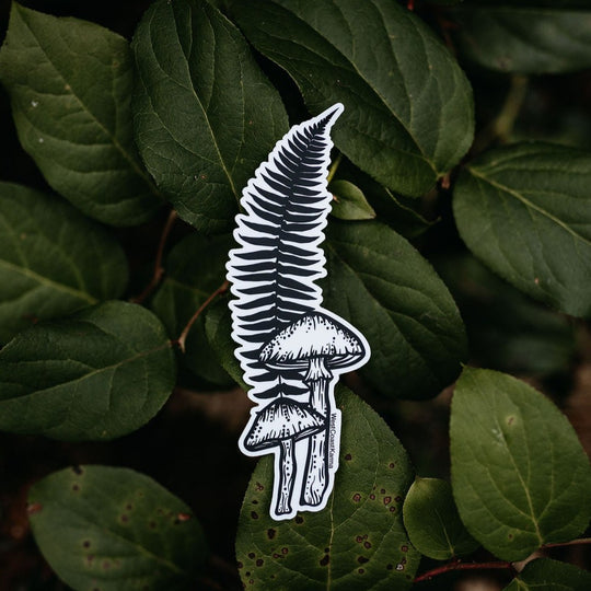 Mushroom Fern Sticker