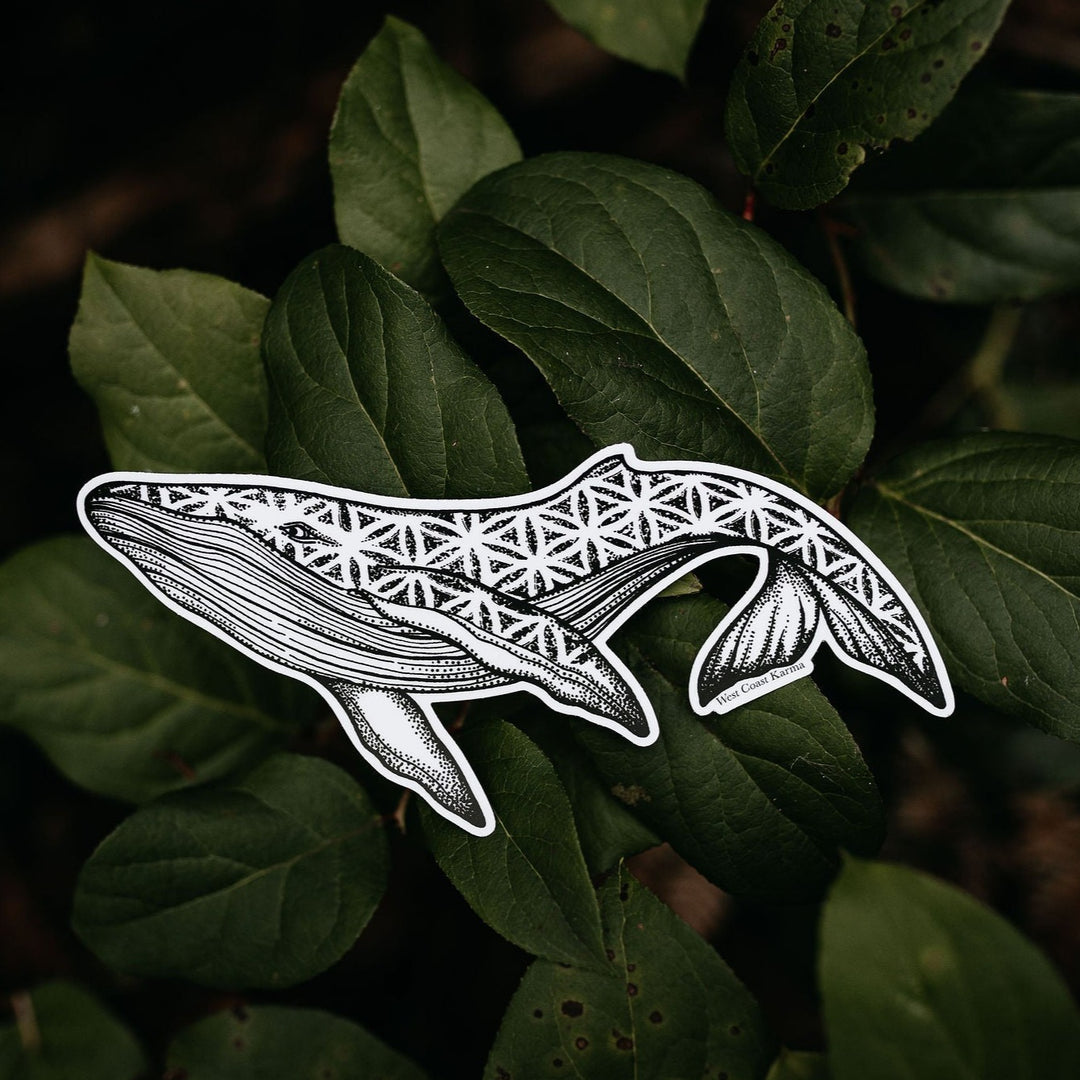 Humpback Seed of Life Sticker