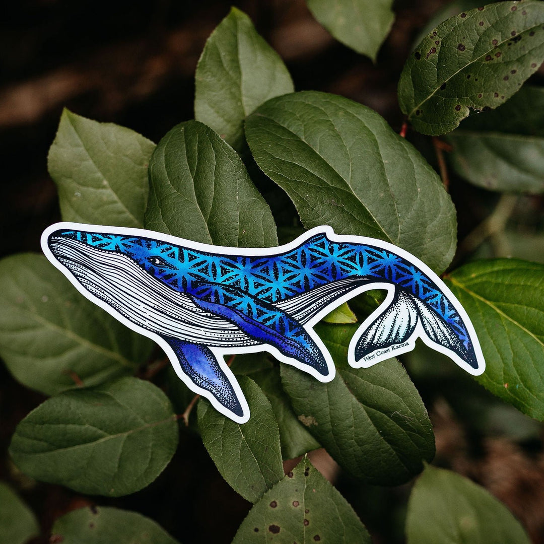 Colourful Humpback Seed of Life Sticker