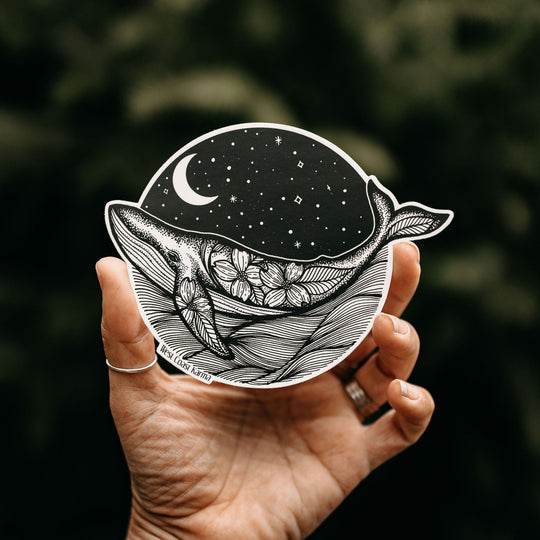 Night Sky Humpback Sticker