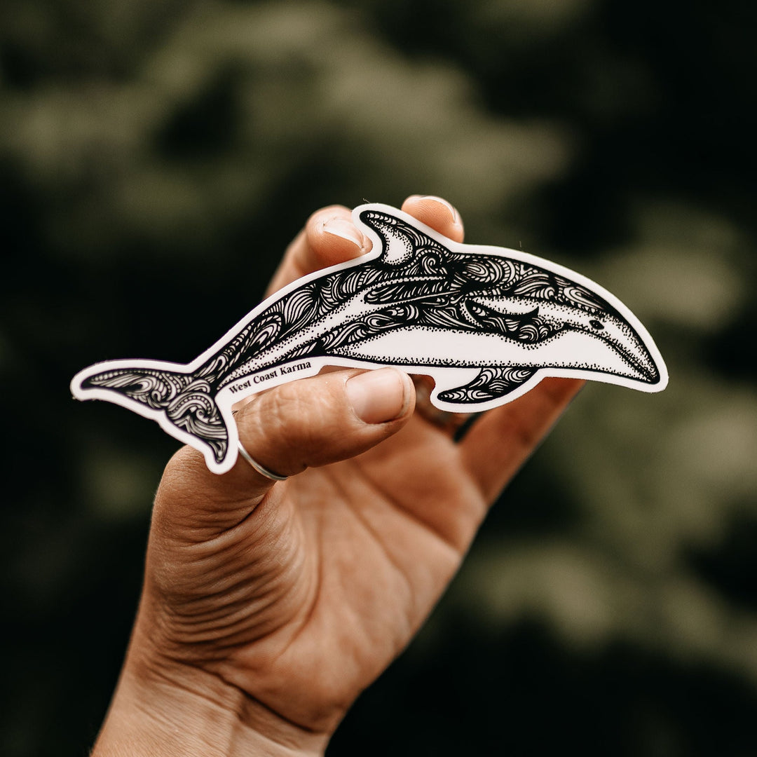 White Sided Pacific Dolphin Sticker