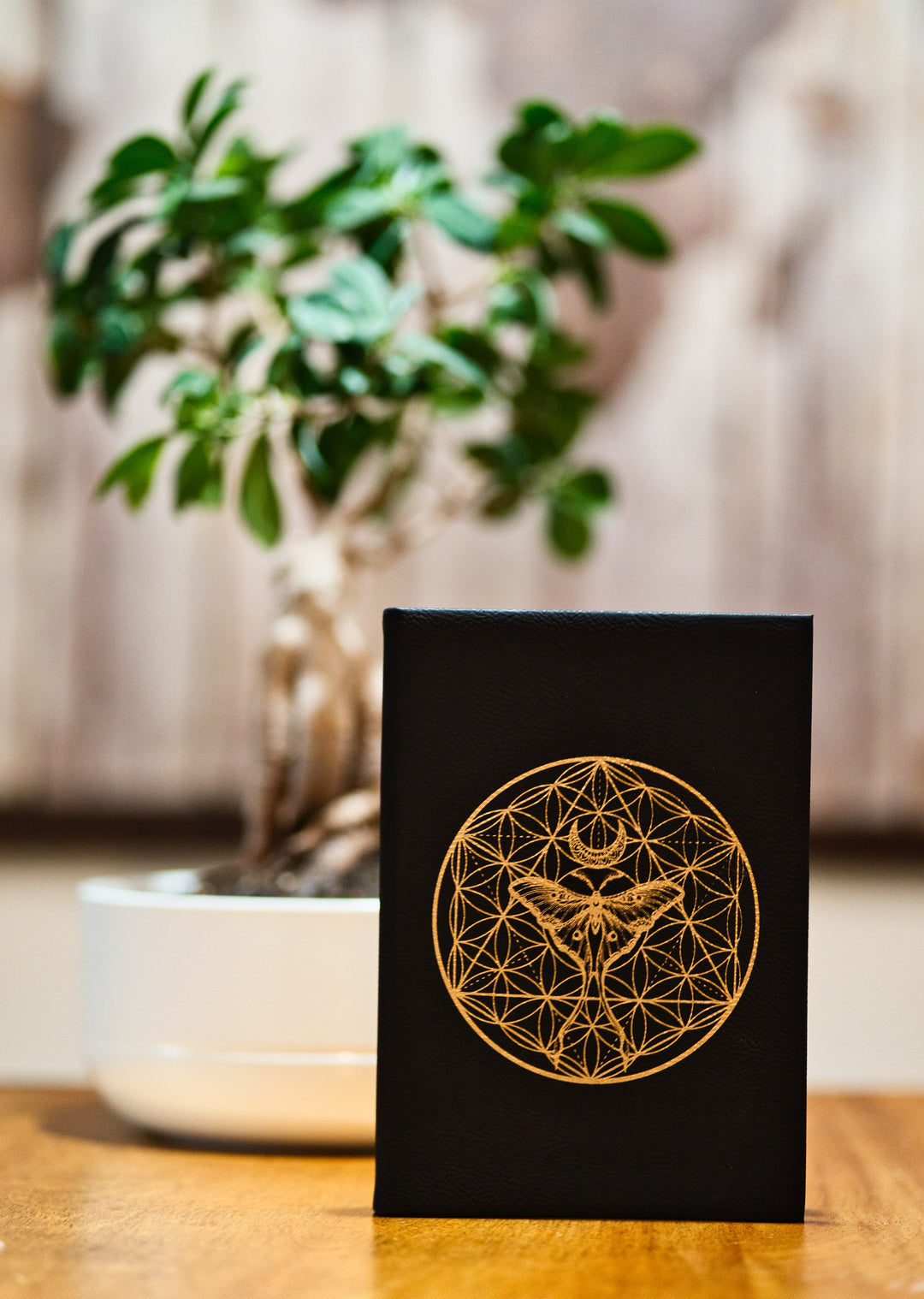 Gold Engraved Geometric Luna Moth Black Journal