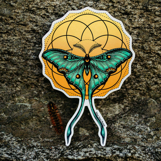 Sunrise Seed of life Luna Moth Sticker