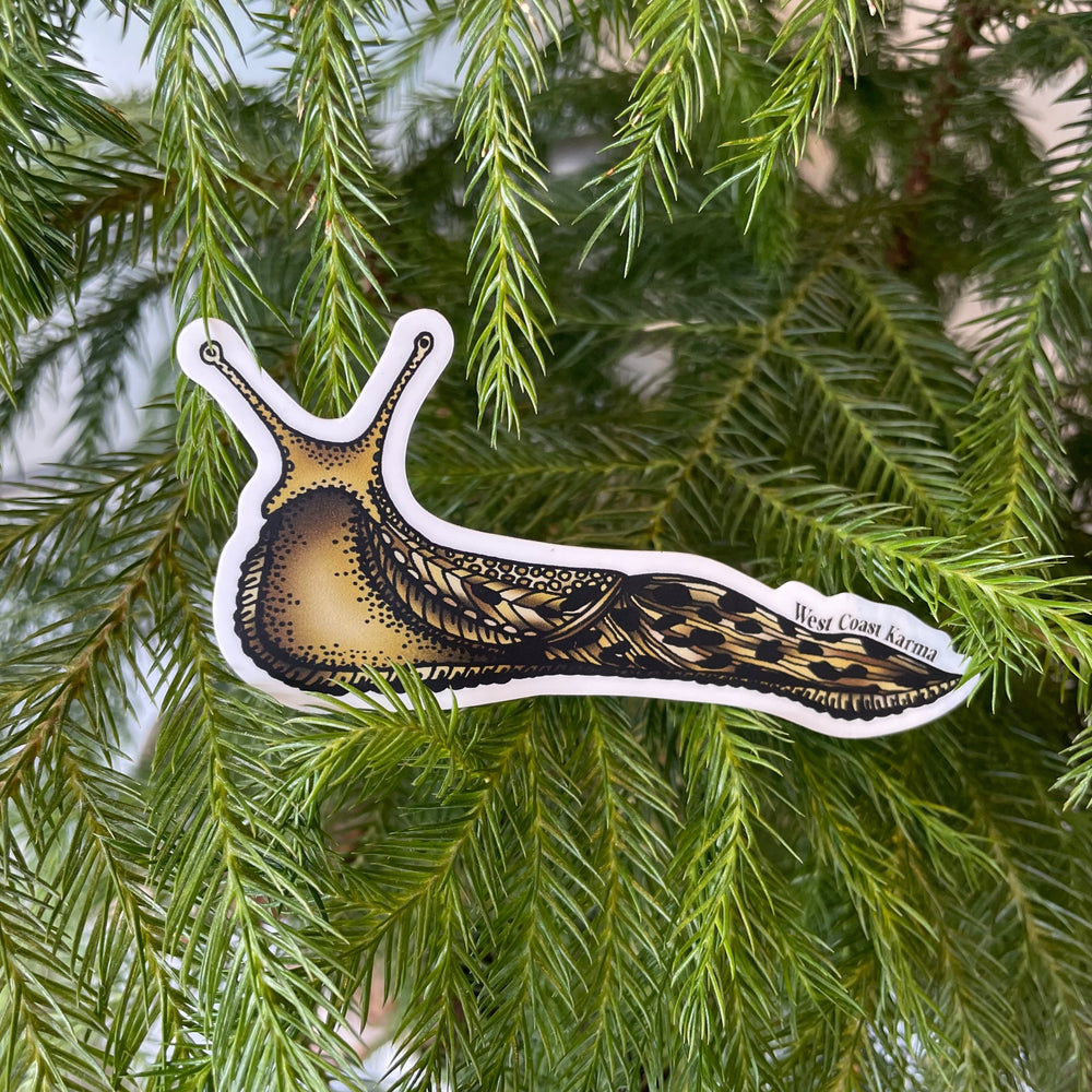 Colourful Banana Slug Sticker